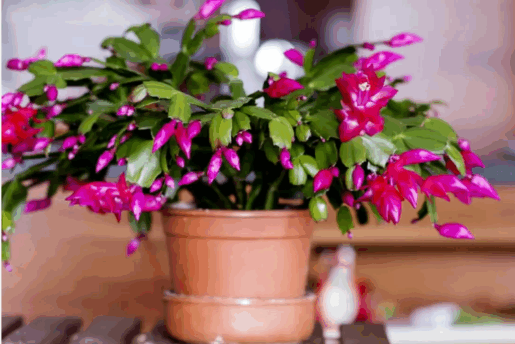 Trim the shoots in time for lush blooming! ✂️