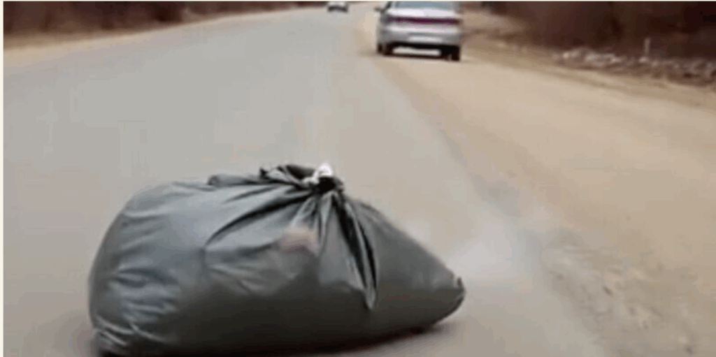 Shocking moment on the highway! A strange package was thrown out of a car — when the driver approached and touched it, he froze.