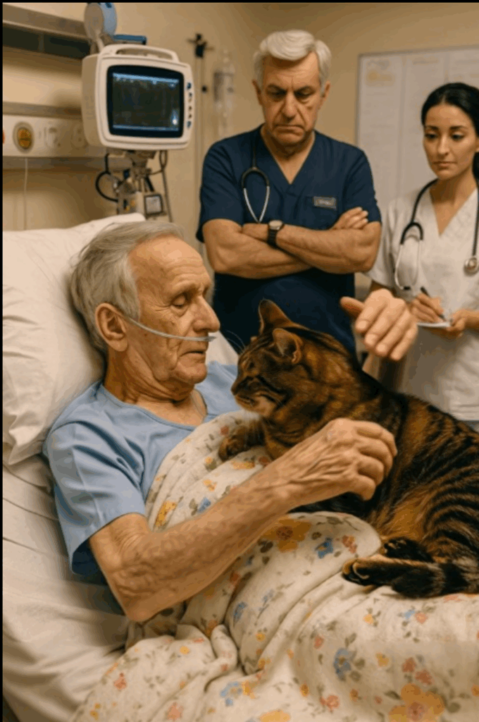 Before a difficult surgery, the man asked for a few minutes to say goodbye to his cat—but suddenly, the cat arched its back, hissed, and scratched its owner.